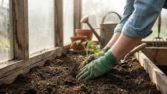 Co vysadit v dubnu na volném prostranství, ve skleníku a jako sazenice: seznam, který stojí za to si uložit